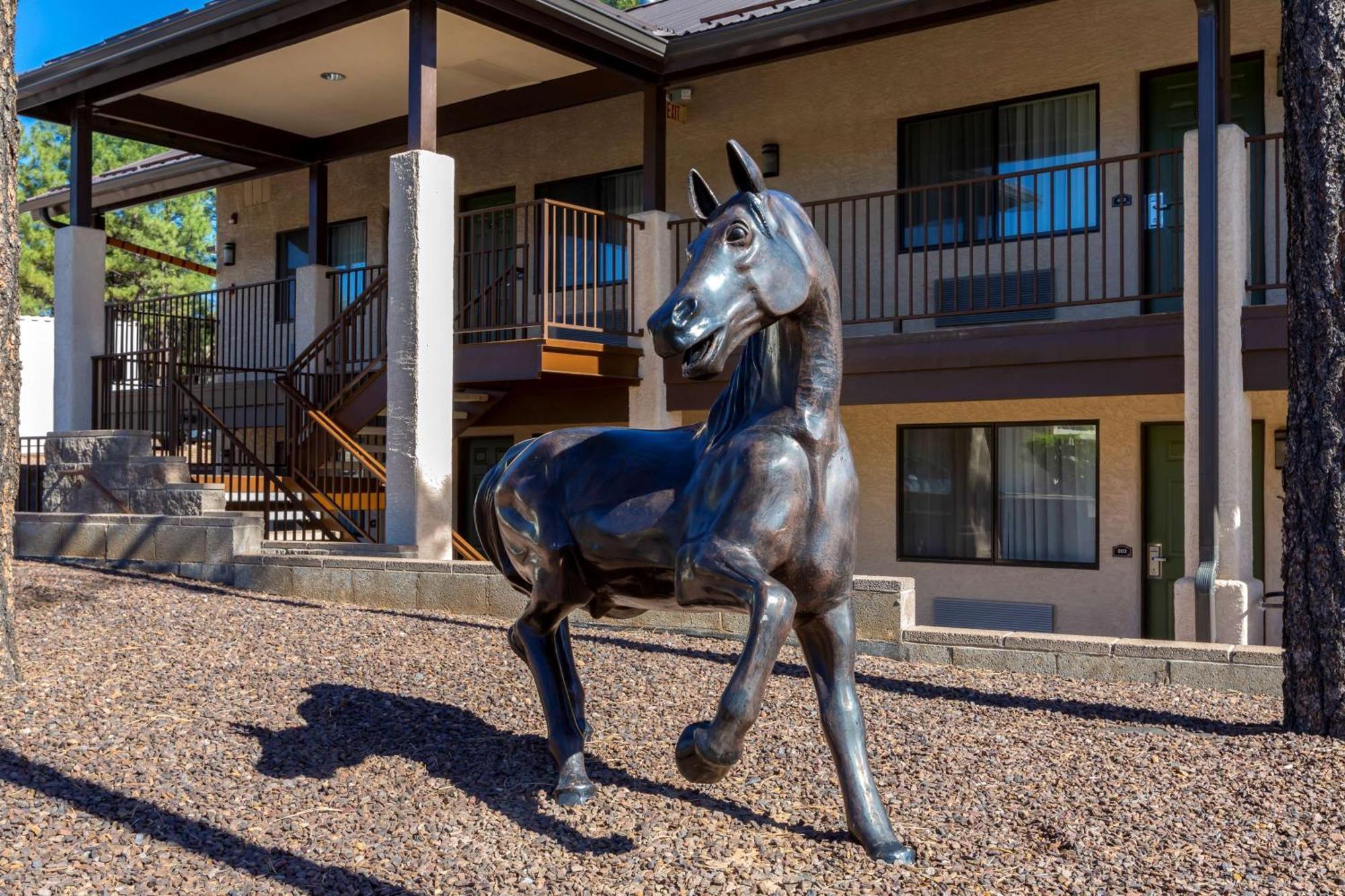 Best Western Paint Pony Lodge Show Low Εξωτερικό φωτογραφία